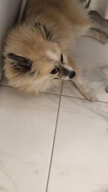 11 августа 2019 г. смотреть онлайн