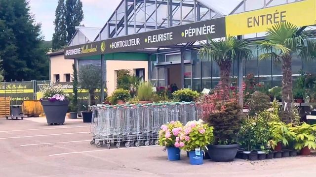 Цветочная теплица в загнивающей Франции #загнивающая? смотреть онлайн