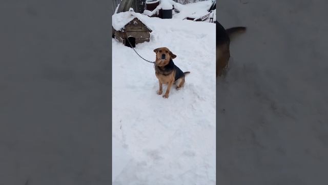 Уборка продолжается...Эх,снег,снежок.. смотреть онлайн