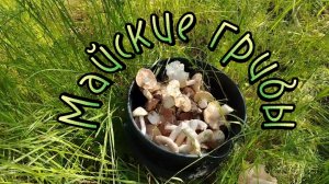 И снова за рядовкой