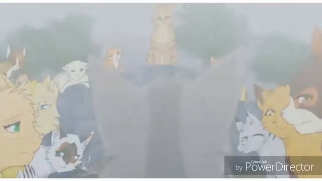 Коты-Воители Крутобок Wolf in Sheeps Clothing