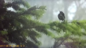 рЫма чек-Пошла по кругу... первого полоскает