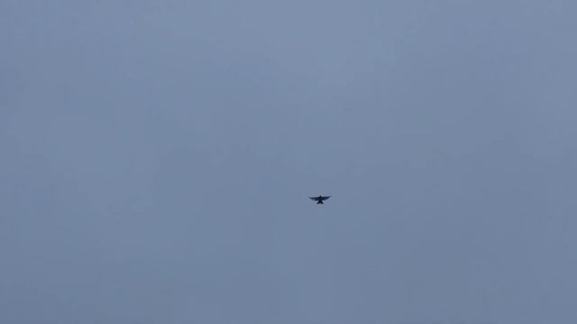 Николаевские голуби г. Тюмень полет жука при разных ветрах смотреть онлайн