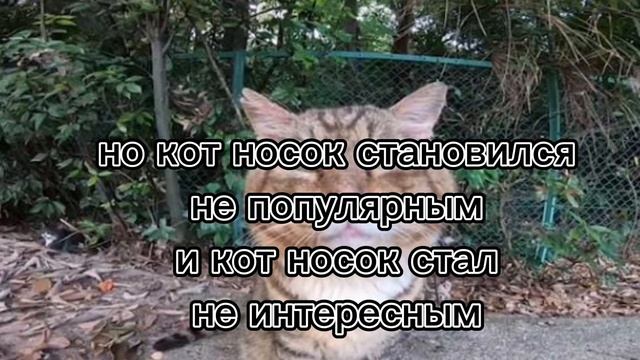 Кот носок предистория смотреть онлайн