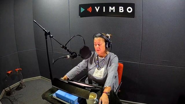 РЫЖАЯ ФРЕЯ Константин Зарубин  аудиокнига фрагмент