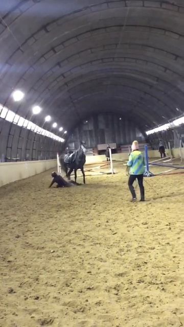 Наглядное пособие КАК НЕЛЬЗЯ сидеть На лошади😂 смотреть онлайн