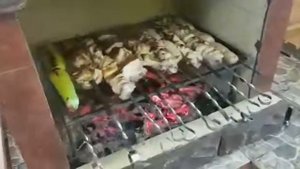 Отзыв о нашей печи барбекю №3