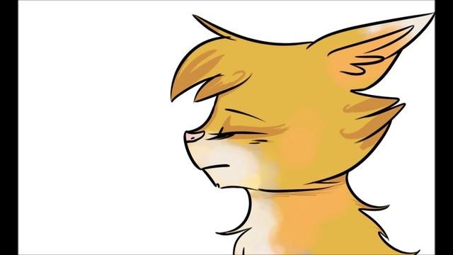 анимация кошки