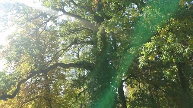 Орёл смеется смотреть онлайн