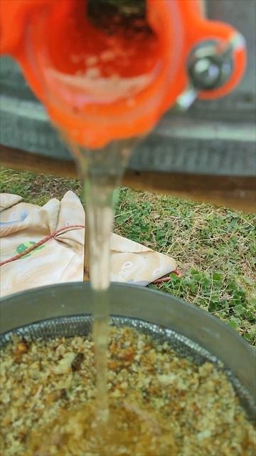 Краснодарский край. Майский мед с акации 2024.😀 смотреть онлайн