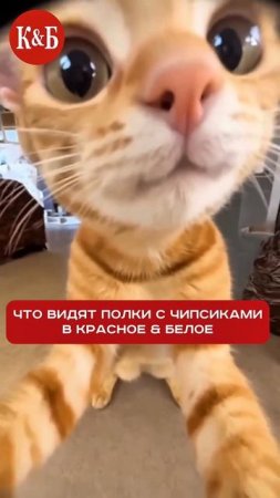 Когда выбор действительно большой😊