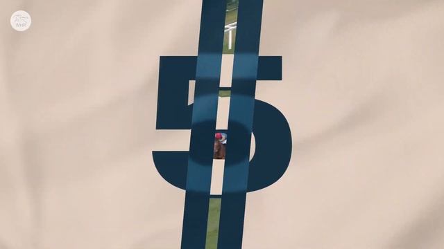 ТОП-9 Лошадей которые выступят на фестивале Гудвуд 2024 смотреть онлайн