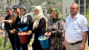 Лукашенко подарил аграриям Дагестана лучшие сорта картофеля