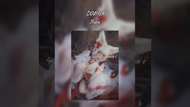 DO$HIK - Лиса ( текст песни ) смотреть онлайн