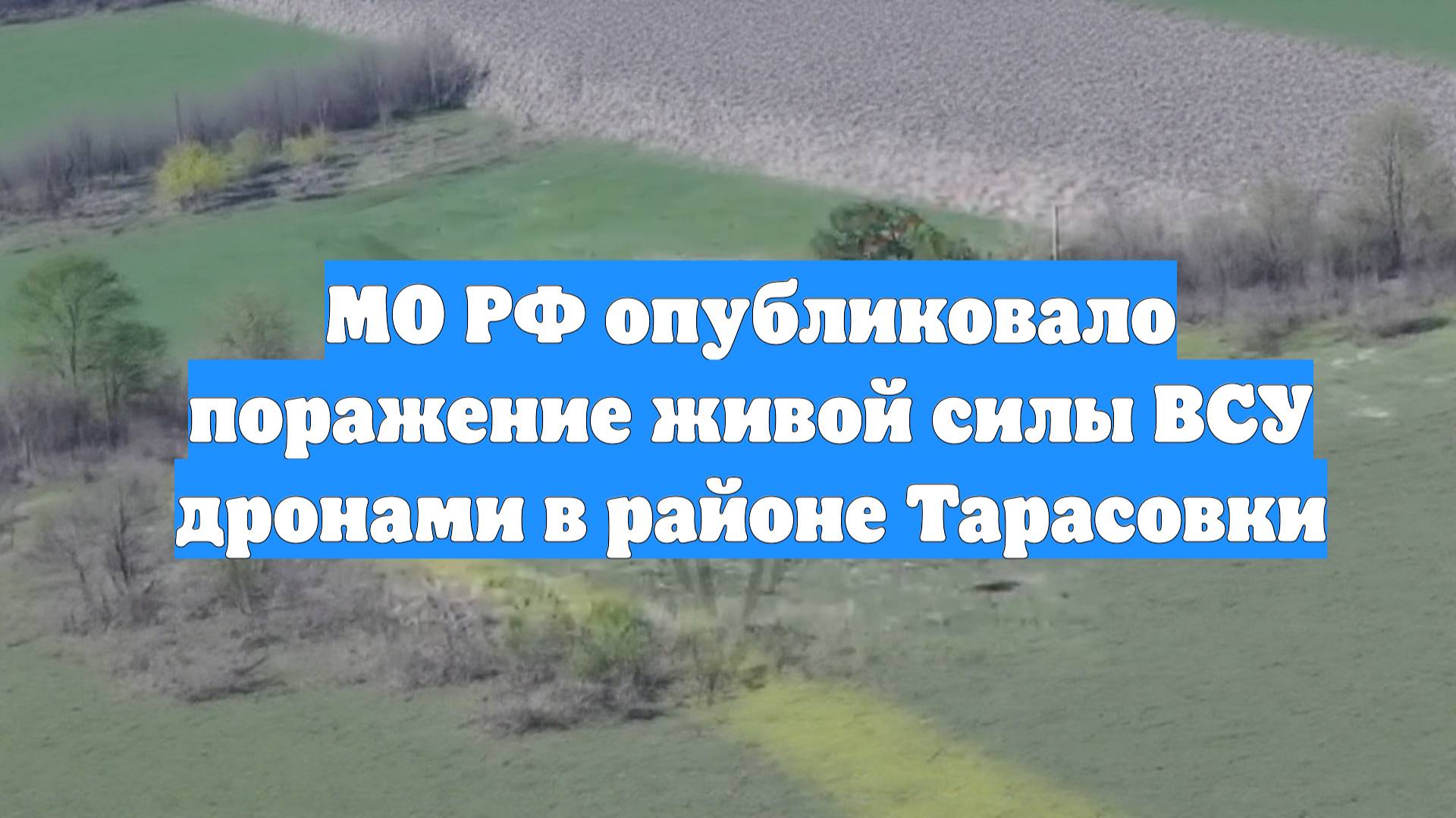 МО РФ опубликовало поражение живой силы ВСУ дронами в районе Тарасовки