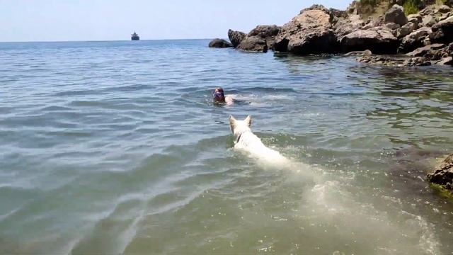 Жемчужина южного берега - бухта Ласпи. Крым. смотреть онлайн