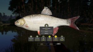 ВЬЮНОК ГДЕ ЗАКРЫТЬ ЯЗЯ #рр4