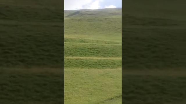 18 января 2017 г. смотреть онлайн