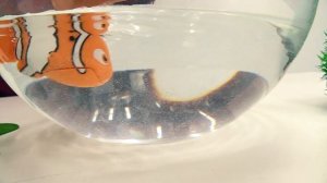 Детский сад Капуки Кануки: 2 смена - Игрушки на рыбалке