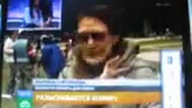 Выставка собак смотреть онлайн