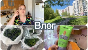Почему сын не ездит на дачу? Покупки в Магнит косметик со скидкой. Купила рассаду клубники.