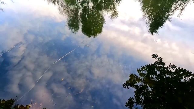 Славянск. 21 октября 2024г. Утро. смотреть онлайн