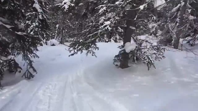 03-03-2018 Лыжный поход Караульная- Дивногорск