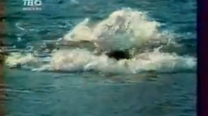 Тынис Мяги, Олимпиада   80