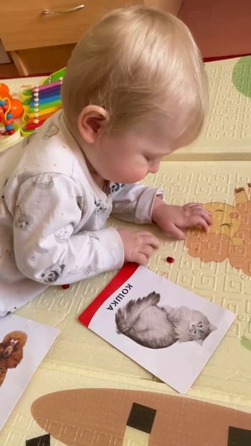 Кушает гранат ! Как же ему вкусно вау смотреть онлайн