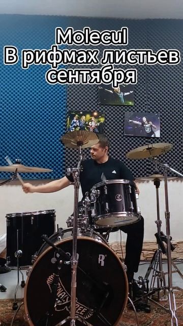 Molecul - В рифмах листьев drum cover сентября #drumcover #shorts #molecul #2007 #natry #сентябрь смотреть онлайн