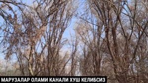 БУНИ КУРИБ ШУЛАР ХАМ ЭРКАКМИ ДЕЙСИЗ АХМОҚ Солихон домла Solixon domla Full HD