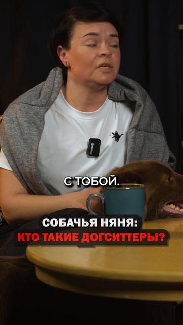 Собачья няня: кто такие догситтеры? | #АнастасияЗагорс?
