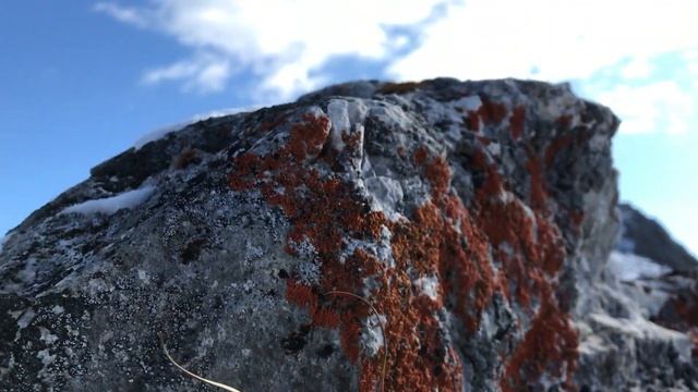 Гора Вайда смотреть онлайн