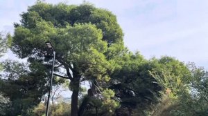 КРЫМ | САНАТОРИЙ АЙ-ПЕТРИ | МОРЕ | ПАРК МИСХОР VLOG:17.10.24