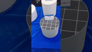 Выставка  MIMS 2025