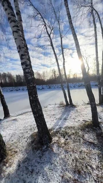 Красивое место #reels #shortsvideo #новыйгод #video #россия #москв? смотреть онлайн