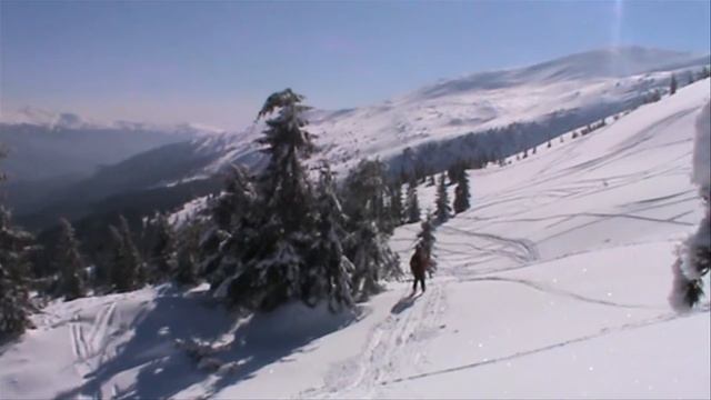 ДРАГОБРАТ Святкуємо 8 БЕРЕЗНЯ на ДРАГОБРАТІ смотреть онлайн