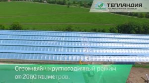 Презентация Тепландия - промышленные теплицы