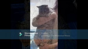 А мы решили остаться