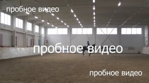 кск виннер выездка 15 11 2020 пробное видео