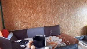 Новая жизнь в Деревне , Готовлю себе и Мартину  Хозяину Мясо а мне Хлеб