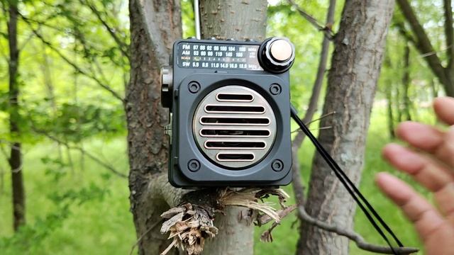 Обзор М8ВТ колонки. PuXing. И бюджетный радиоприёмник. смотреть онлайн