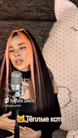 Flour - Тёплые коты.  кавер. COVER DIVA