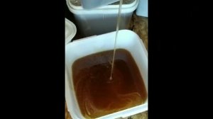 6 августа 2024 г.