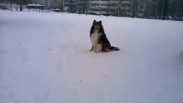 выдержка Леда смотреть онлайн