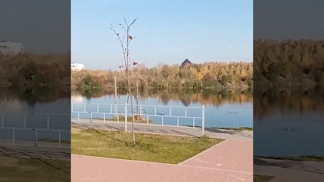 Золотая осень 2020 Бурнаковская Нижний Новгород смотреть онлайн