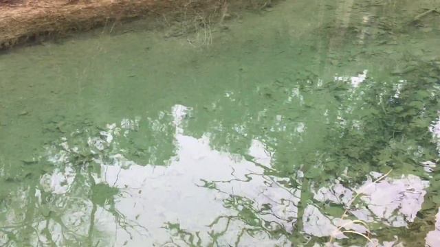 Hamilton Pool. Техас. iphone video5 смотреть онлайн