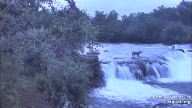 Катмай (Аляска). Katmai (Alaska). смотреть онлайн
