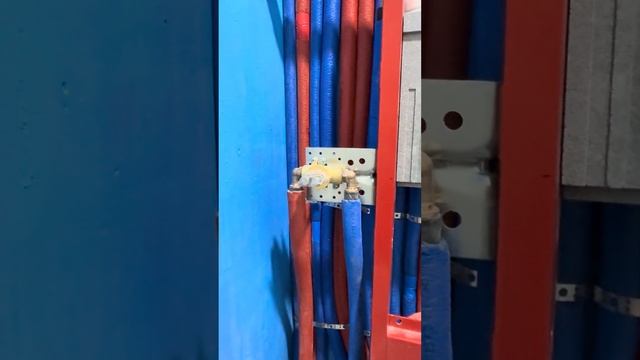 Муж хотел Унитаз-Биде, Жена - Гиг.Душ. СДЕЛАЛИ ОБА! Это нормально?