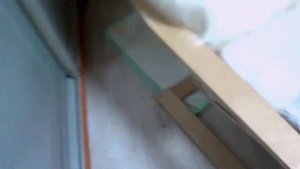 МЫ КУПИЛИ СОБАКУ | как они уживаются с кошкой? первые дни СПАНИЕЛЯ дома🏠